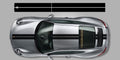 exclusive 991  Porsche center stripe graphic