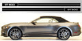 Ford Mustang GT 500 double stripe vinyl decal